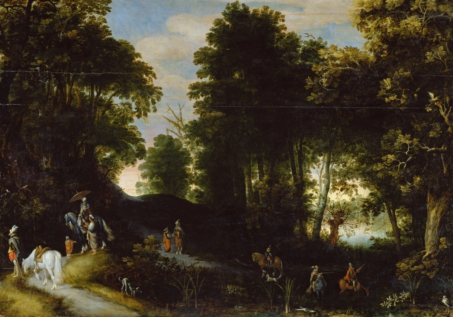 Paesaggio forestale con lago